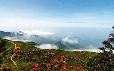 16万亿的诱惑：马云许家印都在探索长寿之谜