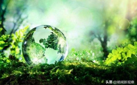 拯救地球不只世界环境日