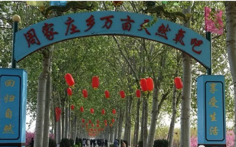 2019·中国晋州第十四届梨花旅游文化节拉开帷幕！