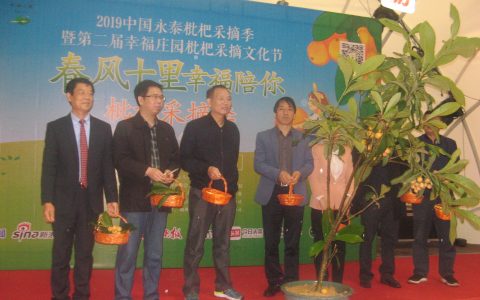 2019中国（永泰）枇杷采摘季暨第二届幸福庄园枇杷采摘文化节启幕