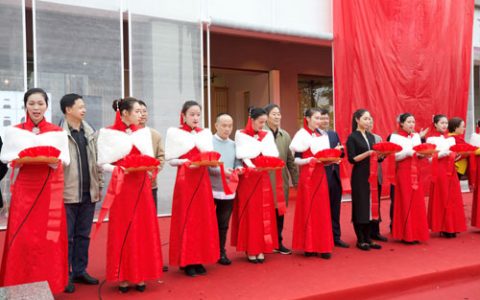 国号白茶:引领冷泡白茶新时尚