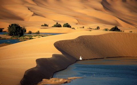 国际新闻网国际电台5月26日播音