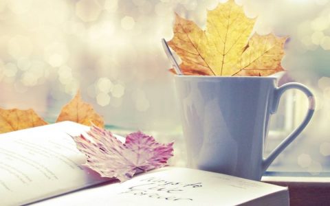 国际电台6月22日新闻播音