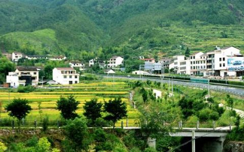 中办国办发文：坚决把受过刑事处罚等问题的人清出村干部队伍