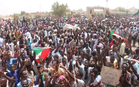 国际新闻网国际电台6月4日联合国快讯