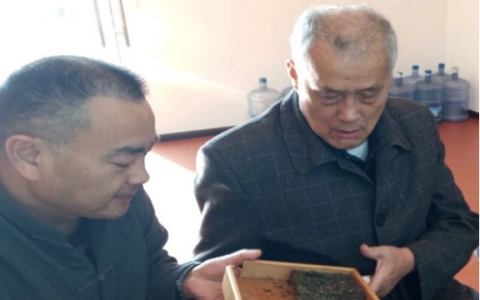 半个世纪的茶叶情缘——贵州茶叶终身成就奖获得者汪桓武