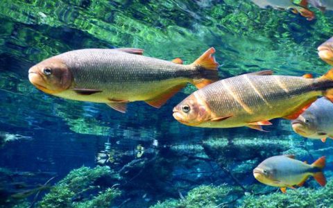 国际新闻网国际电台6月18日联合国快讯