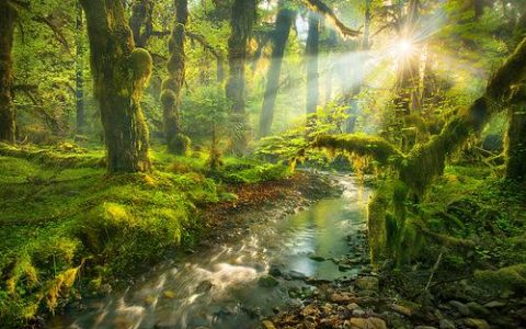 国际电台6月23日新闻播音