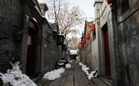 “您”不能乱用