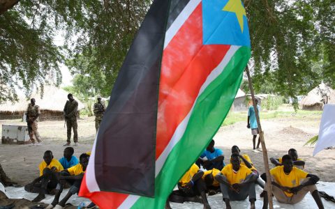 南苏丹:当地暴力事件激增联合国人权专家认为和平协议进展甚微