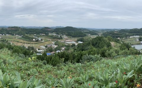 国际电台播报|幸福美丽拱市村的蝶变史