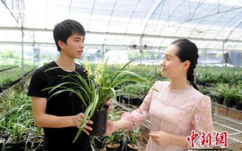 八闽千姿：大学生返乡开“网店” 助力乡村振兴