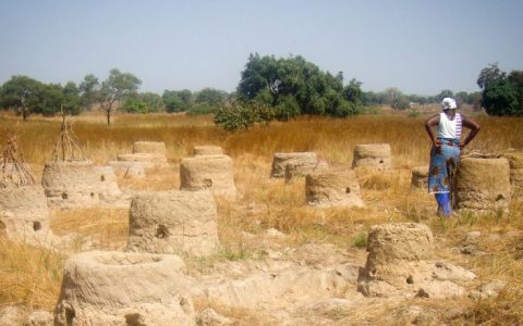 《防治荒漠化公约》缔约方大会通过《新德里宣言》 承诺设立抗击荒漠化国家目标
