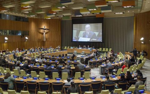 和平文化高级别论坛号召赋予人类权力和推动人类进步