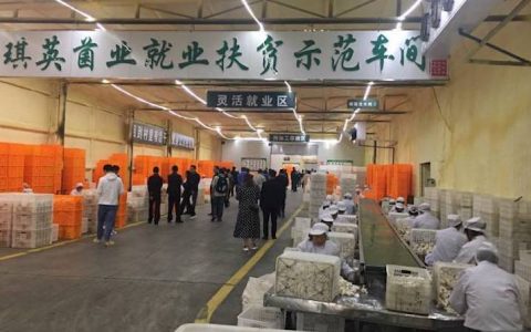 国际电台播报|书香蓬溪的特色产业