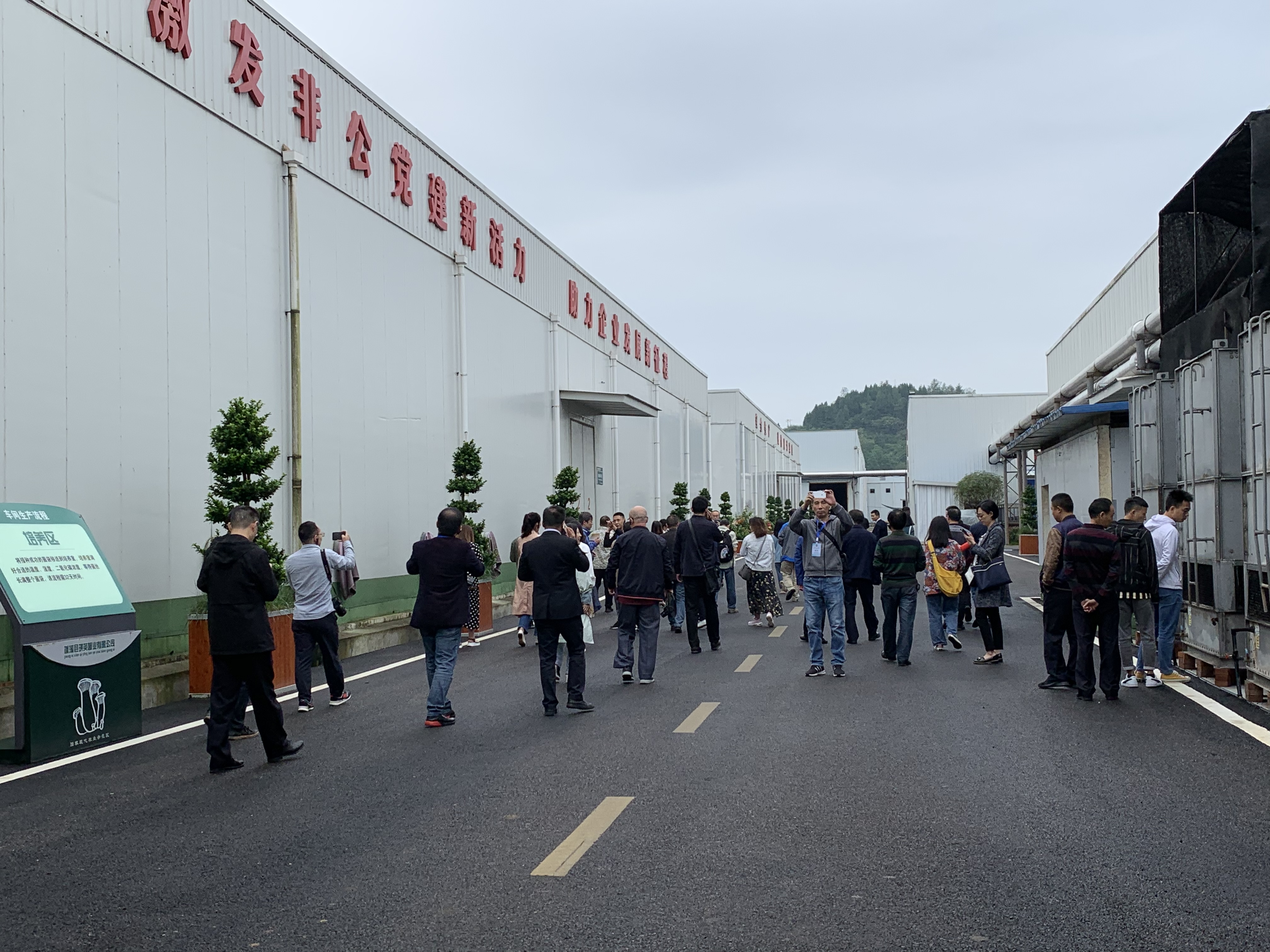 海外华文媒体走访蓬安县琪英菌业有限公司