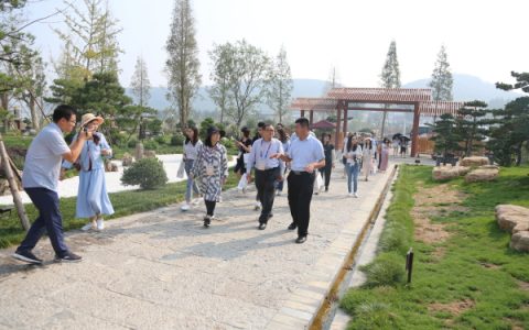 临沂压油沟村激活乡村振兴新路