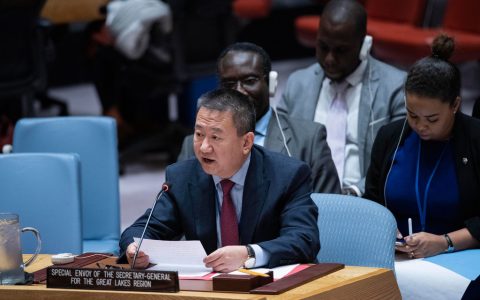 秘书长特使夏煌：非洲大湖区展现“重要契机”解决不稳定、实现共同繁荣