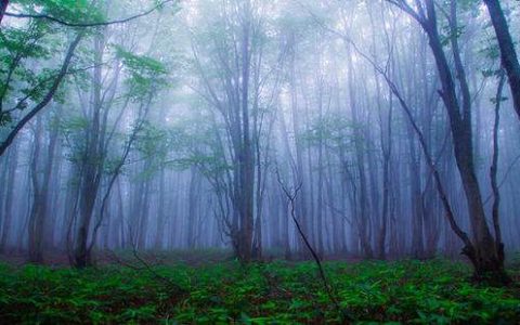 国际新闻网|国际电台10月11日新闻播音