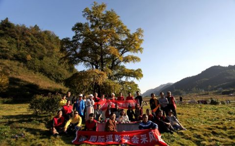 古银杏”植物界的大熊猫”——国际摄影学会走进古银杏之都福泉采风活动