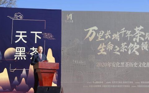 万里长城千年茶路 生命之茶“饮”领健康安化黑茶历史文化推介会在长城脚下举行
