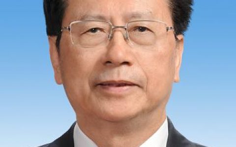 陈昌智-副委员长