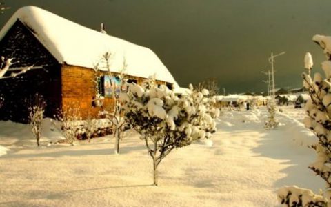 冬至（二十四节气之一）