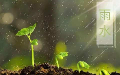 雨水（二十四节气之一）