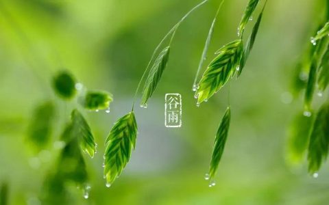 谷雨 （二十四节气之一）