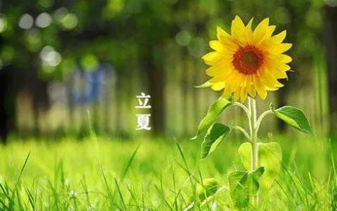 立夏（二十四节气之一）