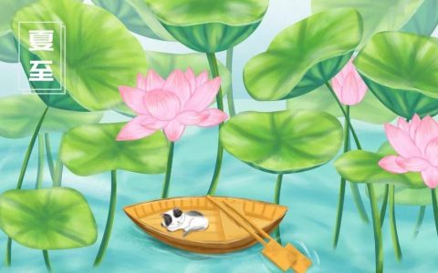 夏至（中国二十四节气之一）