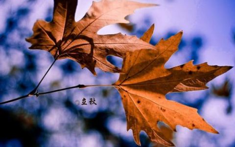 立秋（二十四节气之一）