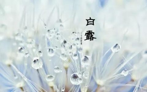 白露（二十四节气之一）
