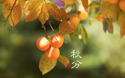 秋分（二十四节气之一）