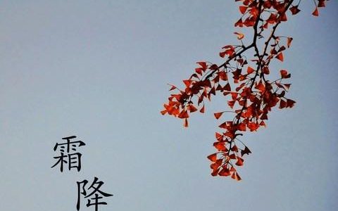 霜降（二十四节气之一）