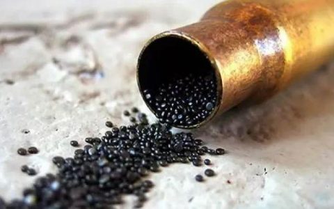 火药（中国古代四大发明之一）