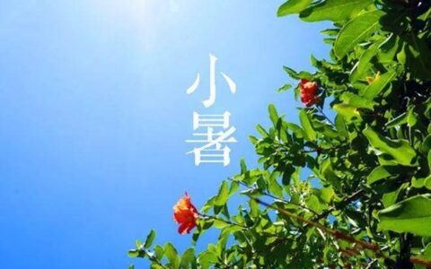 小暑（二十四节气之一）