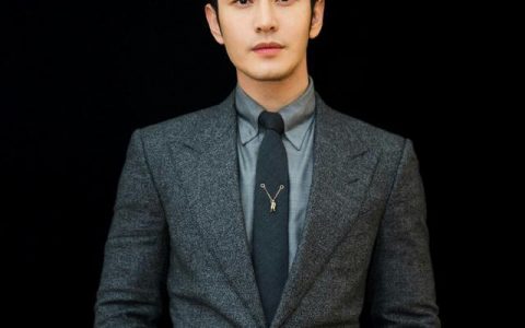 黄晓明|著名演员