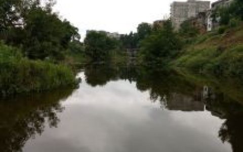 先锋镇（四川仪陇县先锋镇）