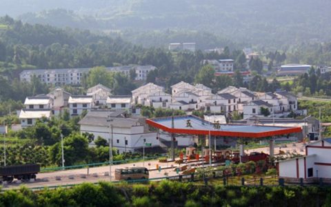 赛金镇（四川省南充市仪陇县下辖镇）