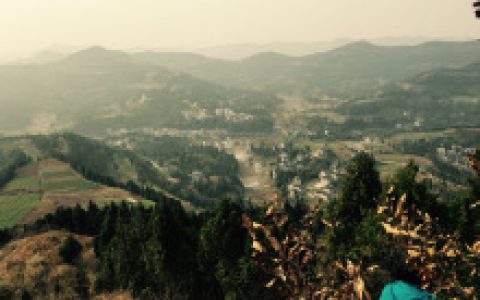 保平镇（四川省南充市仪陇县保平镇）