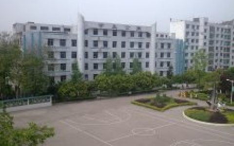 永乐镇（四川省南充市仪陇县永乐镇）