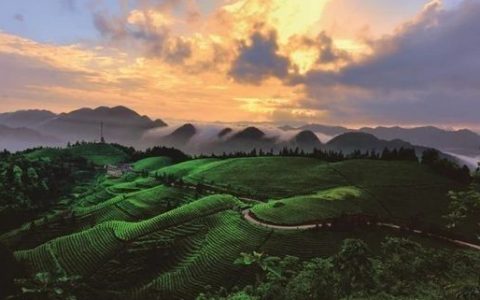 芭蕉乡（四川仪陇县芭蕉乡）