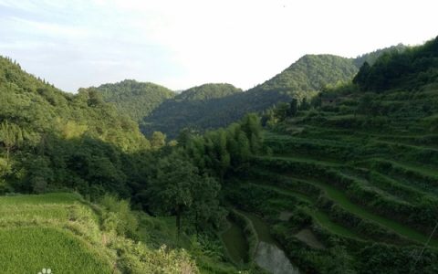 圳上镇（湖南省娄底市新化县圳上镇）