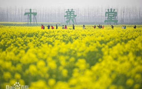 十美堂镇（常德市鼎城区十美堂镇）