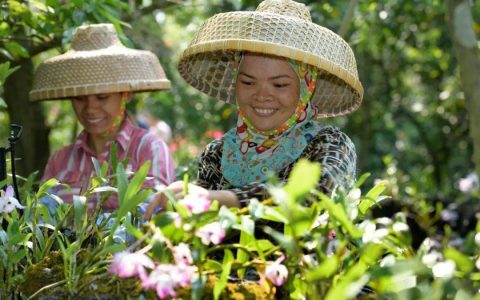 施茶村（海南省海口市秀英区石山镇）