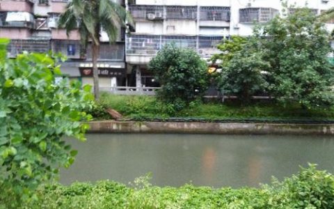 大同街道（海南省海口市龙华区）