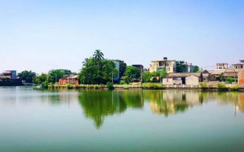 文山村（海南省海口市龙华区新坡镇）