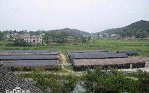 花门镇（湖南省娄底市双峰县）