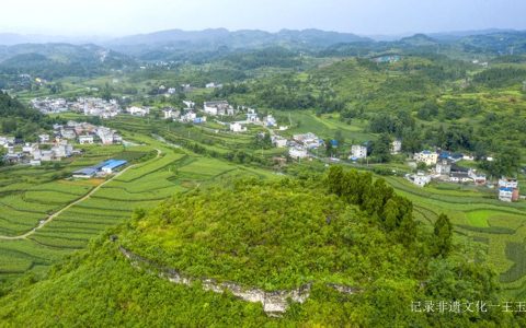 酒韵飘香 醉美源村